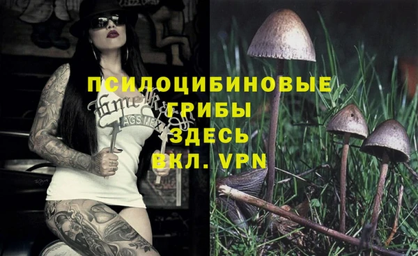молекула духа Абдулино