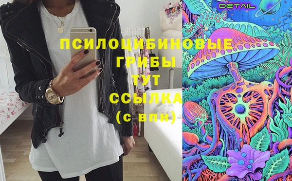 spice Абаза
