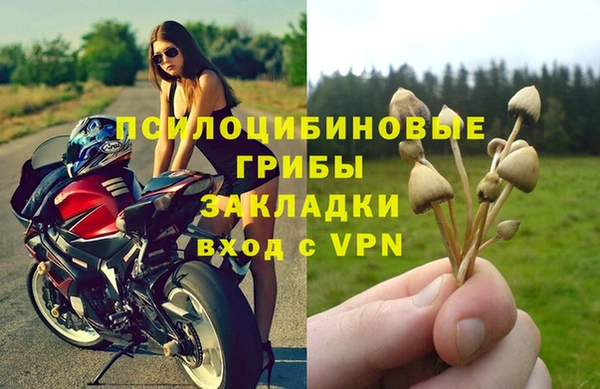 прущая мука Зеленодольск