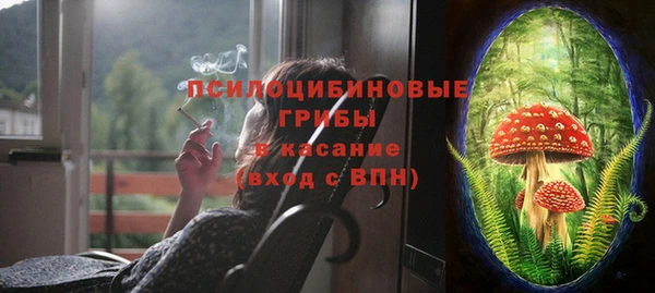 марки nbome Каменка